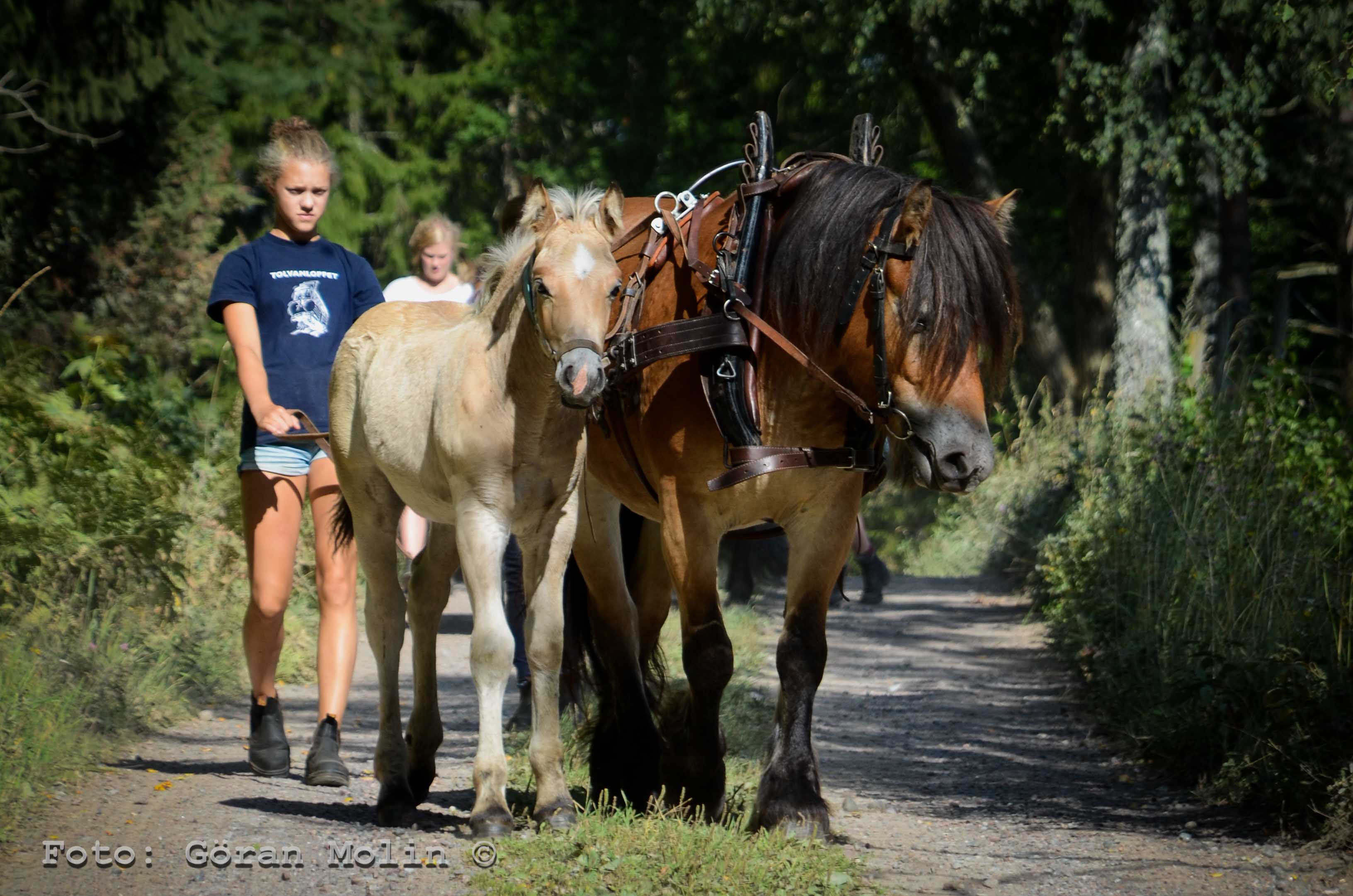 Barn och ungdom-3417
